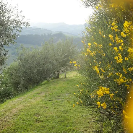 Podere Quartarola