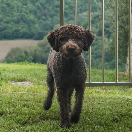 Podere Quartarola ファームステイ *