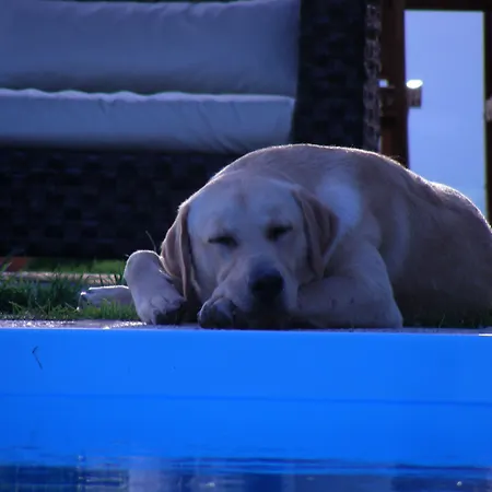 Podere Quartarola Modigliana