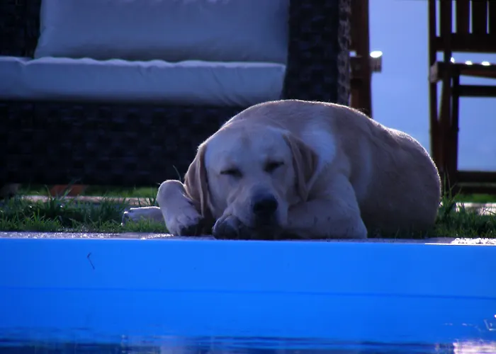 Podere Quartarola Modigliana