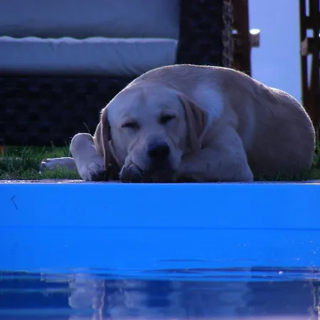 Podere Quartarola Vakantieboerderij Modigliana