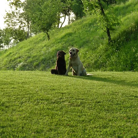Podere Quartarola Vakantieboerderij