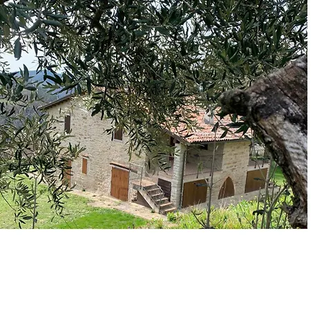 Podere Quartarola Bauernhof Modigliana