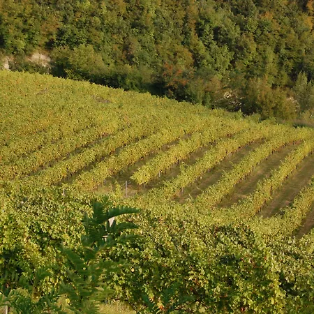 Podere Quartarola Séjour à la ferme Modigliana