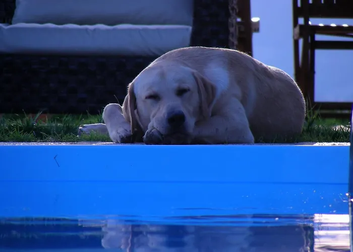 Podere Quartarola Κατάλυμα σε φάρμα Modigliana