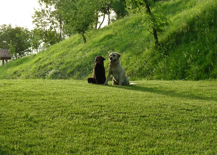 Podere Quartarola Κατάλυμα σε φάρμα