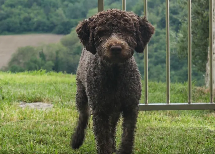 Podere Quartarola Κατάλυμα σε φάρμα *