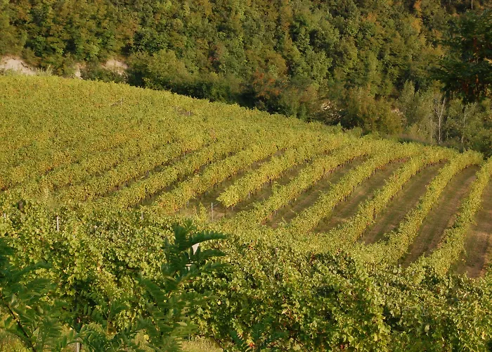 Podere Quartarola Κατάλυμα σε φάρμα Modigliana